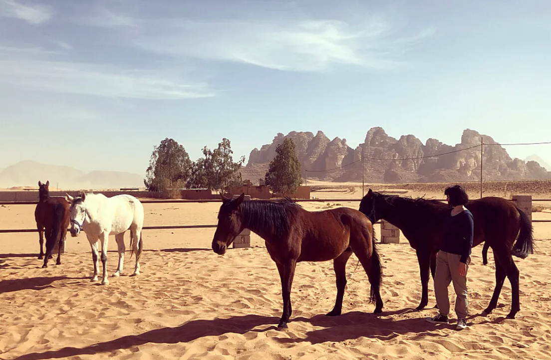 2 Day Soul Spark - A Magical Desert Retreat in Wadi Rum