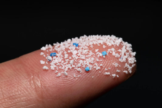 Microplastics in the Brain: The Invisible Threat We Need to Address